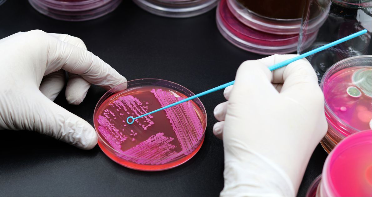  Five Companies Shaping the Future of Microbiome-Based Therapeutics 