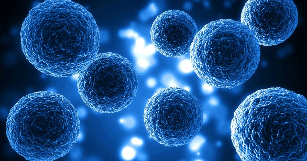 Mimicking Nature: How Organoids Reshape Medicine 